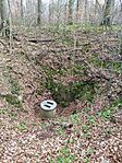 IMG_20250405_141751
