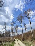 IMG_20250405_144126