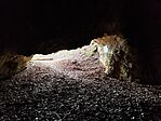 IMG_20250405_161728