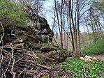 IMG_20250405_172231
