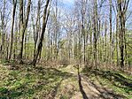 IMG_20250405_111135