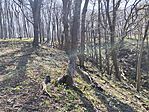 IMG_20250405_114348