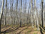 IMG_20250405_120116