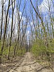 IMG_20250412_145921