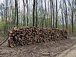 IMG_20250412_153647