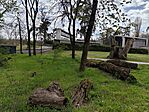 IMG_20250412_141439