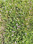 IMG_20250413_104044