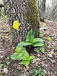 IMG_20250413_135207
