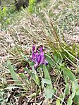 IMG_20250413_141958