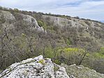 IMG_20250413_142315