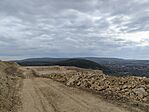 IMG_20250414_154908