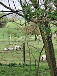 IMG_20250414_162846