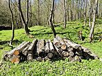 IMG_20250414_102748