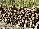IMG_20250414_102625