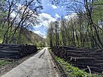 IMG_20250414_102608