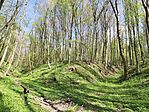 IMG_20250414_100806
