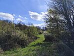 IMG_20250414_104808
