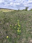 IMG_20250414_113027