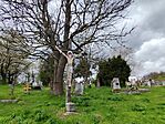 IMG_20250414_120927