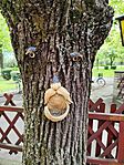 IMG_20250420_094428