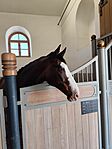 IMG_20250419_102036