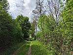 IMG_20250423_124818