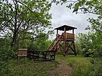 IMG_20250425_114155