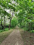 IMG_20250425_114734