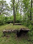 IMG_20250425_115244