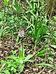 IMG_20250425_115509