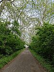 IMG_20250425_140616