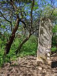 IMG_20250420_102635