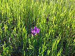 IMG_20250420_103609