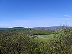 IMG_20250420_103708