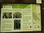 IMG_20250420_104246