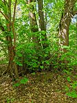 IMG_20250420_104324