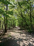 IMG_20250420_105123