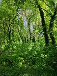 IMG_20250420_115949