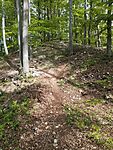 IMG_20250421_091002