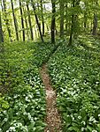 IMG_20250421_092603