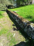 IMG_20250419_135436