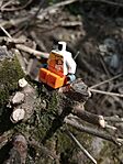 IMG_20250420_160720751