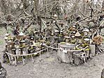 IMG_20250316_161651
