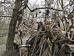 IMG_20250316_162703