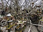 IMG_20250316_162923