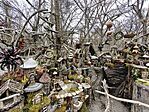 IMG_20250316_162933