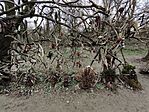 IMG_20250316_163045