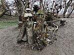 IMG_20250316_163117