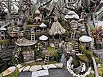 IMG_20250316_163220
