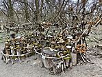 IMG_20250316_163910